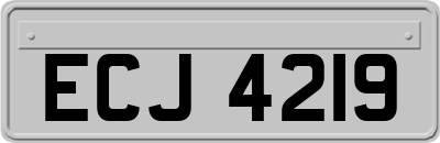 ECJ4219