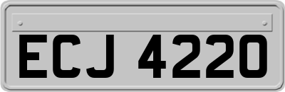 ECJ4220