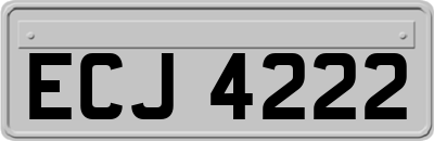 ECJ4222