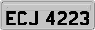 ECJ4223