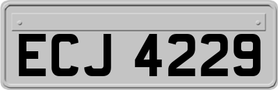 ECJ4229