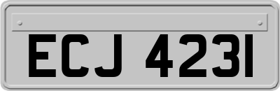 ECJ4231