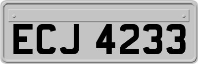 ECJ4233
