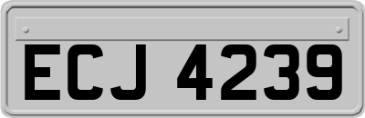 ECJ4239