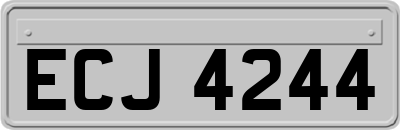 ECJ4244