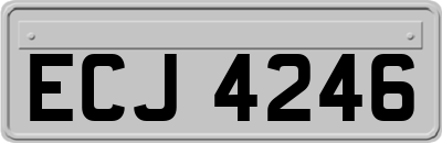 ECJ4246