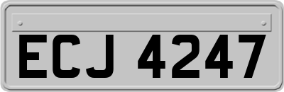 ECJ4247