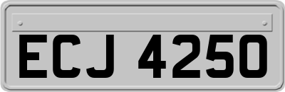 ECJ4250