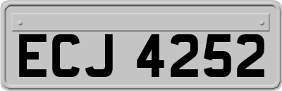ECJ4252