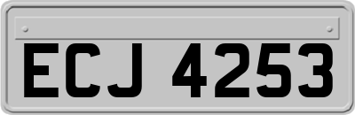 ECJ4253