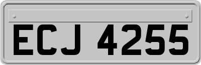ECJ4255