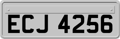 ECJ4256