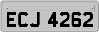 ECJ4262