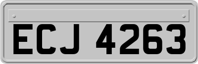 ECJ4263