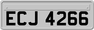 ECJ4266