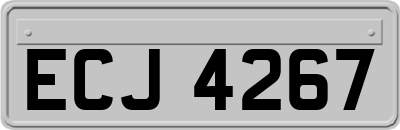ECJ4267
