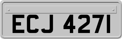 ECJ4271