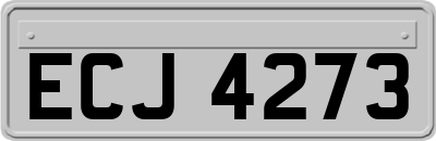 ECJ4273