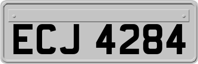ECJ4284