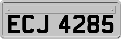 ECJ4285