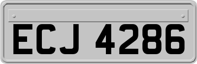 ECJ4286