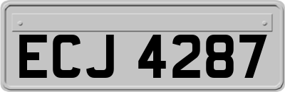 ECJ4287