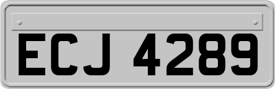 ECJ4289