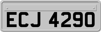 ECJ4290