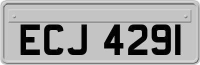 ECJ4291