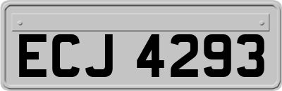 ECJ4293