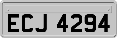 ECJ4294