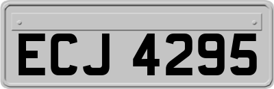 ECJ4295
