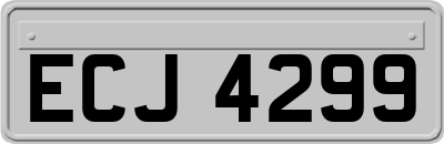 ECJ4299