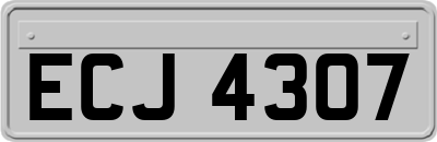 ECJ4307