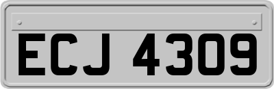 ECJ4309