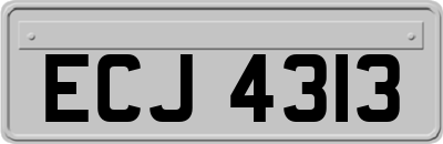 ECJ4313