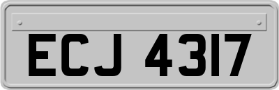 ECJ4317