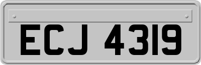 ECJ4319