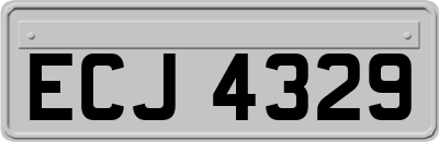 ECJ4329