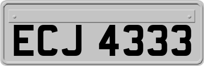 ECJ4333