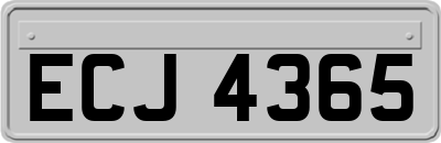 ECJ4365