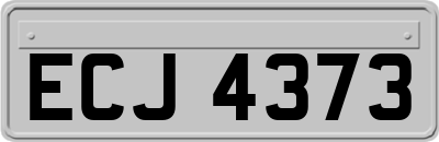 ECJ4373
