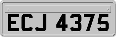ECJ4375