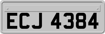 ECJ4384