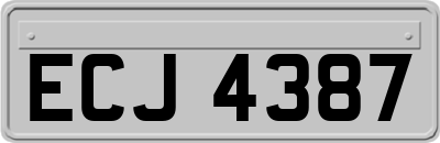 ECJ4387