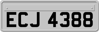 ECJ4388