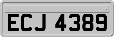 ECJ4389