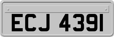 ECJ4391