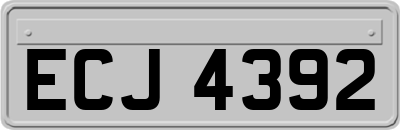 ECJ4392