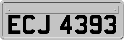 ECJ4393
